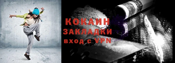 ПСИЛОЦИБИНОВЫЕ ГРИБЫ Горняк