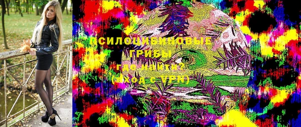 крисы Вязники