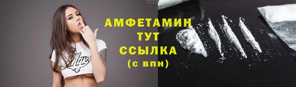 мдпв Верея
