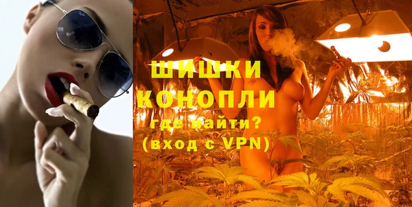ПСИЛОЦИБИНОВЫЕ ГРИБЫ Горняк