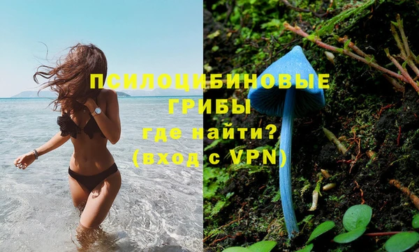 крисы Вязники