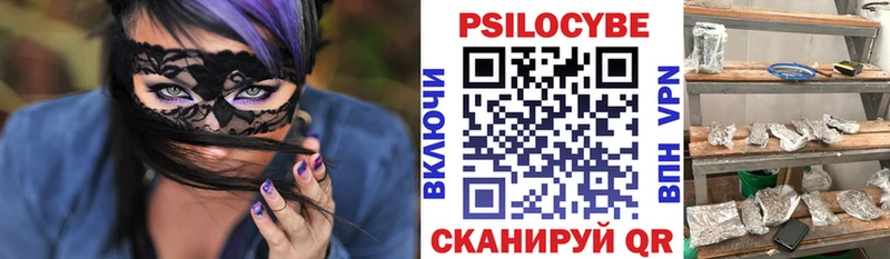 Галлюциногенные грибы Cubensis продажа наркотиков Донской